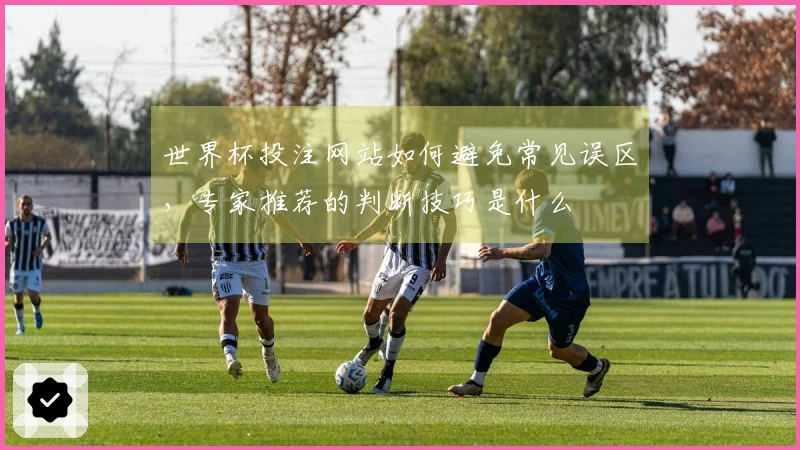 世界杯投注网站如何避免常见误区，专家推荐的判断技巧是什么