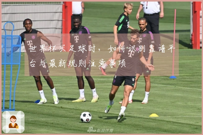 世界杯买足球时,如何识别靠谱平台与最新规则注意事项