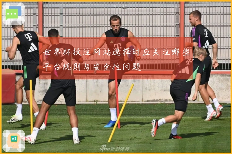 世界杯投注网站选择时应关注哪些平台规则与安全性问题