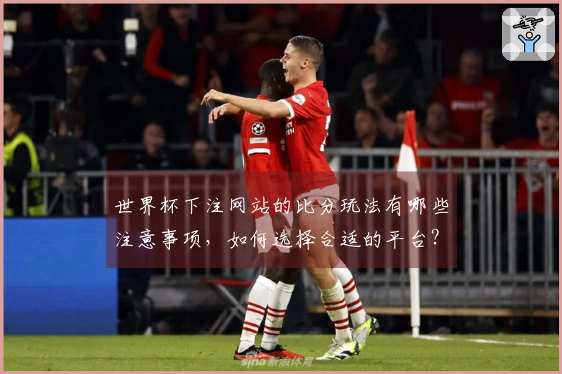 世界杯下注网站的比分玩法有哪些注意事项，如何选择合适的平台？